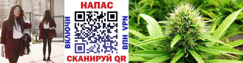 Канабис план  даркнет сайт  Николаевск 